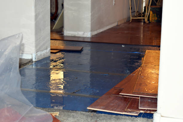 Professional Water Damage Restoration technician working in Polo, MO